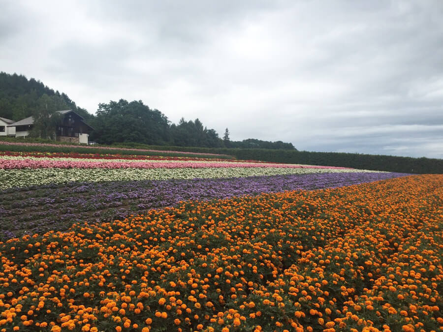 北海道